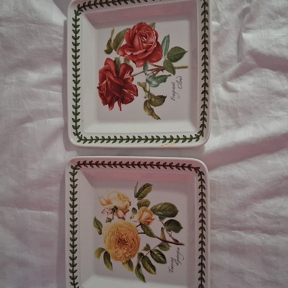 Port Marion /Botanic Roses Square Salad Plates (2 Pac)